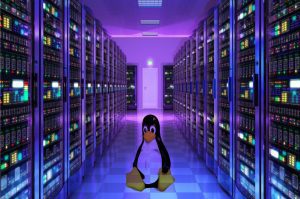 Guida definitiva per trasformare un vecchio PC in un server domestico con Linux Guida definitiva per trasformare un vecchio PC in un server domestico con Linux