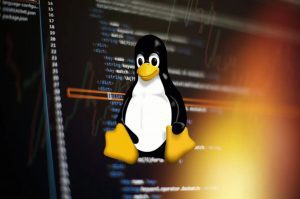 Guida definitiva 2026: Come scegliere distribuzione Linux adatta alle tue esigenze Come scegliere distribuzione Linux adatta alle tue esigenze