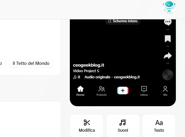 Come fare scritte che appaiono e scompaiono su TikTok III Come fare scritte che appaiono e scompaiono su TikTok III