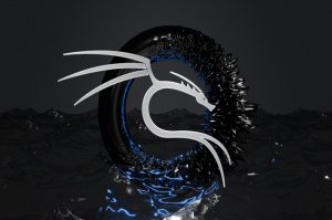 Come installare Kali Linux su VirtualBox: La guida definitiva e pratica Come installare Kali Linux su VirtualBox