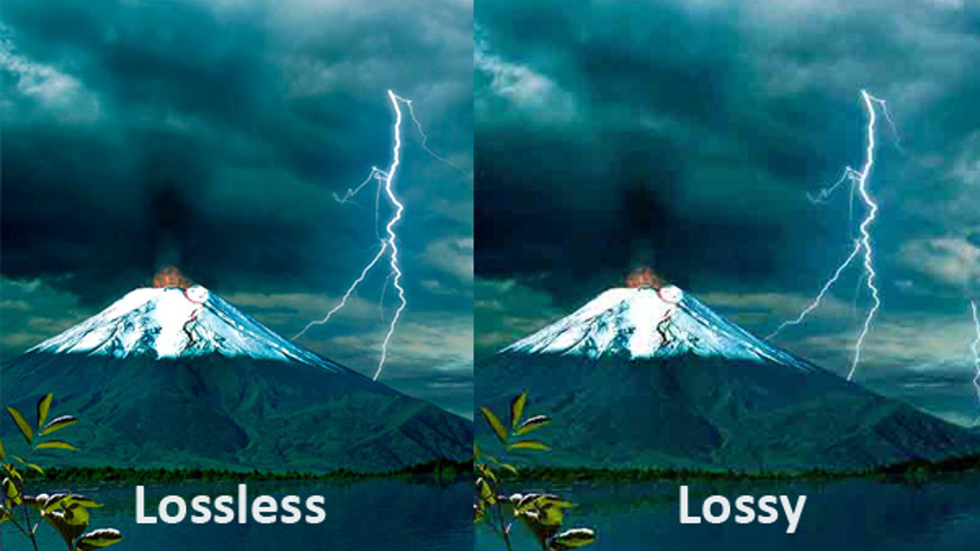 Come comprimere le foto senza perdere qualità II Come comprimere le foto senza perdere qualità II