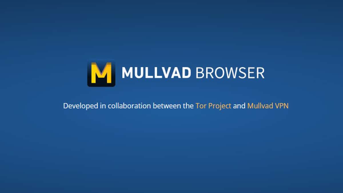 I migliori browser che non tracciano i tuoi dati personali V I migliori browser che non tracciano i tuoi dati personali V