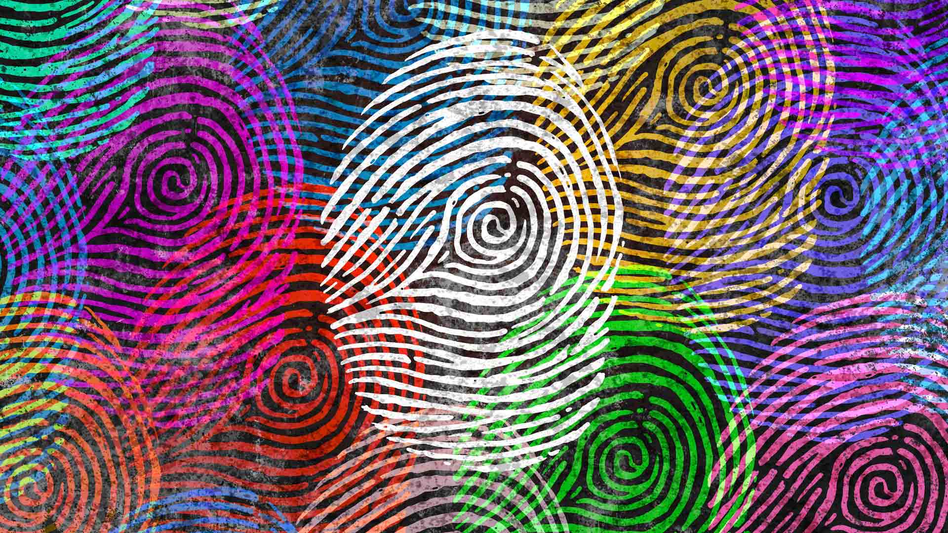 I migliori browser che non tracciano i tuoi dati personali VIII I migliori browser che non tracciano i tuoi dati personali VIII